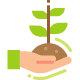 Logo Produzione vegetale