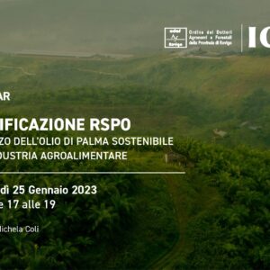 Webinar – Certificazione RSPO: e utilizzo dell’olio di palma sostenibile nell’industri agroalimentare