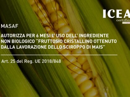 Prima autorizzazione ingrediente non biologico: “fruttosio cristallino ottenuto dalla lavorazione dello sciroppo di mais” – art. 25 del Reg. UE 2018/848.