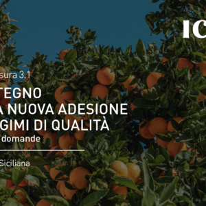 Sottomisura 3.1 ” Sostegno alla nuova adesione a regimi di qualità”: al via le domande – Regione Siciliana
