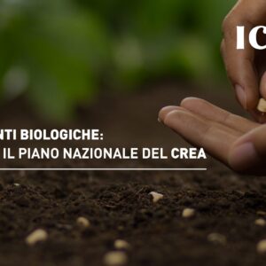 Sementi biologiche: al via il Piano nazionale del Crea