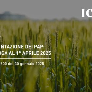 PAP: proroga del termine di presentazione al 1° aprile 2025