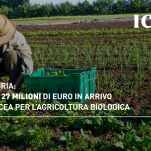 Calabria: oltre 27 milioni di euro in arrivo da Arcea per l’agricoltura biologica