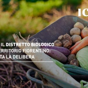 Al via il Distretto Biologico del Territorio Fiorentino: firmata la delibera