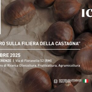 Convegno “Incontro sulla filiera della castagna” – 4 dicembre, Roma