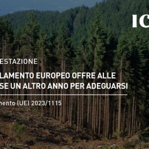 Il Parlamento Europeo approva il rinvio dell’applicazione delle norme sulla deforestazione: un anno in più per le imprese