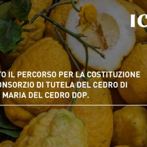 Avviato il percorso per la costituzione del consorzio di tutela del cedro di Santa Maria del Cedro