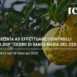 ICEA autorizzata a effettuare i controlli per la DOP “Cedro di Santa Maria del Cedro”