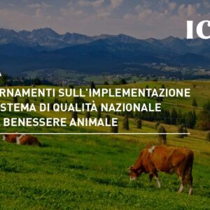 Aggiornamenti sull’Implementazione del Sistema di Qualità Nazionale per il Benessere Animale (SQNBA)
