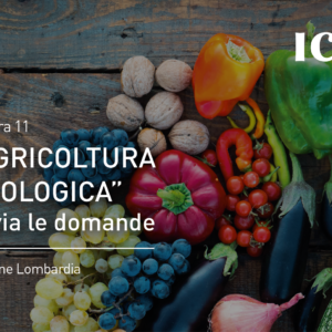 Misura 11 “Agricoltura Biologica”: al via le domande – Regione Lombardia