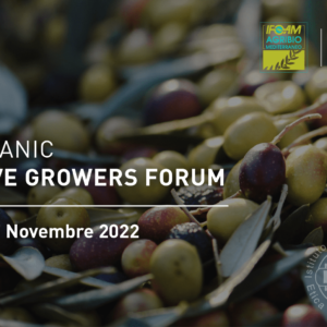 Organic Olive Growers Forum: 24-27 novembre