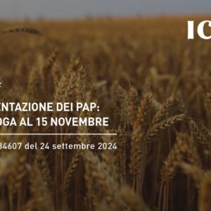 PAP: ulteriore proroga del termine di presentazione al 15 novembre 2024