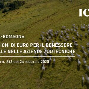 Emilia-Romagna: 14 milioni di euro per il Benessere animale nelle aziende zootecniche