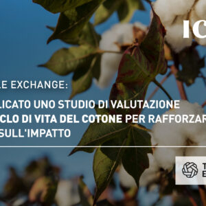Textile Exchange: pubblicato uno studio di valutazione del ciclo di vita del cotone per rafforzare i dati sull’impatto