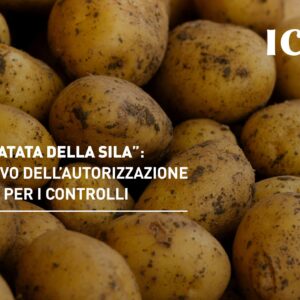 IGP “Patata della Sila”: rinnovo dell’autorizzazione a ICEA per i controlli