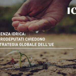 Resilienza idrica: gli eurodeputati chiedono una strategia globale dell’UE
