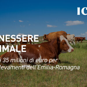 Benessere animale, quasi 35 milioni di euro per gli allevamenti dell’Emilia-Romagna