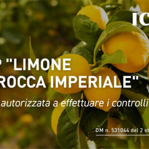 ICEA autorizzata ai controlli per la IGP “Limone di Rocca Imperiale”