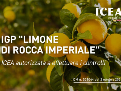 ICEA autorizzata ai controlli per la IGP “Limone di Rocca Imperiale”