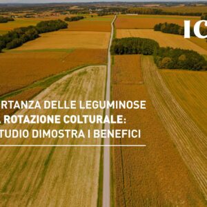 L’importanza delle leguminose nella rotazione colturale: uno studio dimostra i benefici