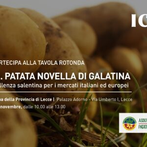 Tavola Rotonda D.O.P. “Patata Novella di Galatina”:  Un’Eccellenza Salentina per i Mercati Italiani ed Europei