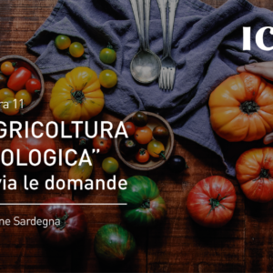 Misura 11 “Agricoltura Biologica”: al via le domande – Regione Sardegna