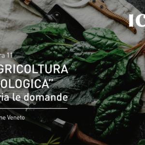 Misura 11 “Agricoltura Biologica”: al via le domande – Regione Veneto