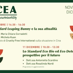 Webinar ICEA