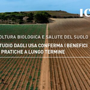 Agricoltura biologica e salute del suolo: uno studio dagli USA conferma i benefici delle pratiche a lungo termine